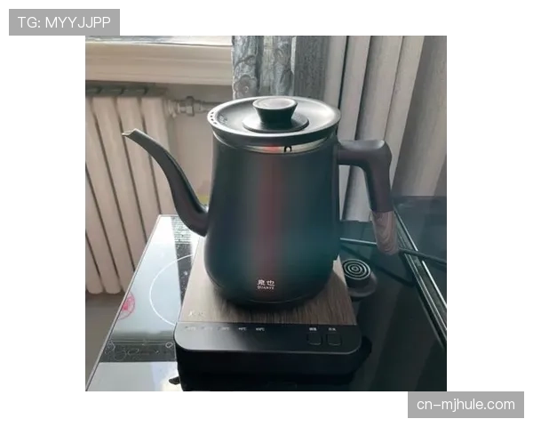 智能水壶传感器监测运动员补水与体温在耐力赛事中的应用