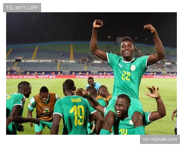 突尼斯非洲杯表现稳健 战术成熟度或成淘汰赛关键优势